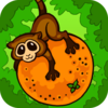 Fruit Tumble App Icon