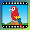 Birds Video Touch App Icon