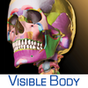 Skeleton Premium App Icon