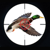 Duck Hunter 3D