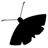 The Moth App Icon