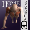 iMuscle Home - iPhone Edition