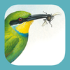 Sasol eBirds of Southern Africa App Icon
