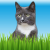 Pet Sounds - Fun Animal Noises for Kids App Icon