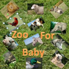 Zoo For Baby App Icon