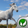 Sky Horse - Jumper game for people who love horses App Icon