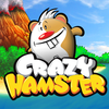 Crazy Hamster App Icon