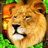 Safari Simulator Lion
