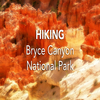 Hiking Bryce Canyon National Park App Icon