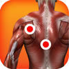 Trigger Points of Muscle
