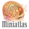 Miniatlas Psychiatry App Icon