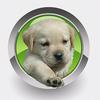 Homeopathy For Dogs App Icon
