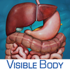 Digestive Anatomy Atlas Essential Reference for Students and Healthcare Professionals App Icon