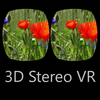 3D Stereo VR