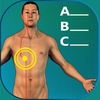 Acupuncture Quiz - Point Locations App Icon