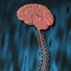 Brain and Nervous System Drugs App Icon