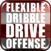 Flexible Dribble Drive Motion DDM Offense - With Coach Jamie Angeli - Full Court Basketball Training Instruction
