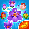 Blossom Blast Saga App Icon