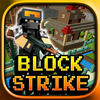 Block Strike Survival