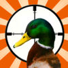 Cool Adventure Duck Hunter