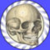 Speed Bones MD App Icon