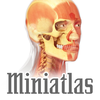 Miniatlas Anatomy App Icon