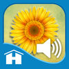 Meditations for Personal Healing - Louise Hay App Icon
