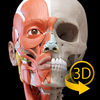 Muscular System - 3D Atlas of Anatomy - Muscles and bones of the human body App Icon