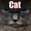 Catify Your Photo! App Icon