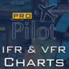 PRO Pilot IFR and VFR Terms and Symbols App Icon