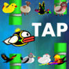 Fly Bird King App Icon
