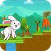 Rabbit Run - Endless Adventure Runner Game App Icon