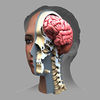 Zygote 3D Anatomy Atlas and Dissection Lab App Icon