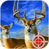 Wild Deer Hunting  Safari Shooting Game App Icon