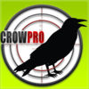 Forest Crow Hunting  3D Birds Sniper Kill Shot App Icon