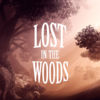 Lost In The Woods - Adventure Game App Icon