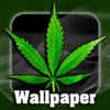 Weed Wallpaper! App Icon