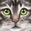 Ultimate Cat Simulator App Icon