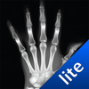 X-Ray Scanner X-ray Vision - Free