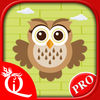 Owl Rush PRO App Icon
