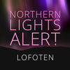 Northern Lights Alert Lofoten App Icon